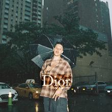 RIN - Dior 2001