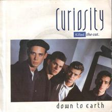 Curiosity Killed The Cat - Down To Earth