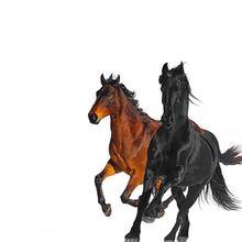 Lil Nas X feat. Billy Ray Cyrus - Old Town Road (Remix)