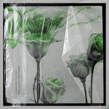 JOHN LEGEND & DAVID GUETTA - CONVERSATIONS IN THE DARK (JOHN LEGEND VS DAVID GUETTA)