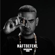 HAFTBEFEHL - LASS DIE AFFEN AUS'M ZOO