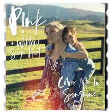 Pink + Willow Sage Heart - Cover Me In Sunshine
