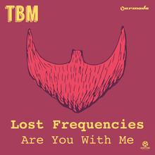 Lost Frequencies - Are You With Me
