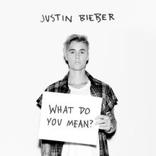 JUSTIN BIEBER - WHAT DO YOU MEAN