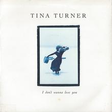 Tina Turner - I Don't Wanna Lose You
