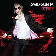 David Guetta ft Chris Willis - Everytime we touch (The Mixes)