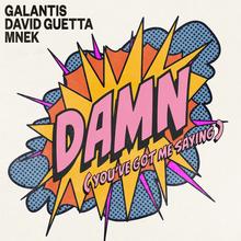 GALANTIS X DAVID GUETTA X MNEK - DAMN (YOU'VE GOT ME SAYING)