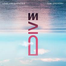 Lost Frequencies x Tom Gregory - Dive