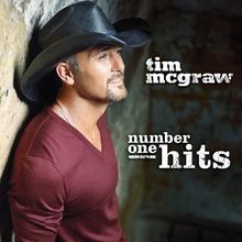 Tim McGraw - Southern Voice