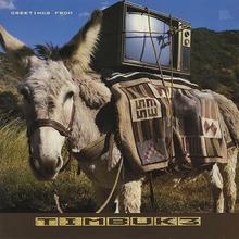 Timbuk 3 - The Future's So Bright I Gotta Wear Shades