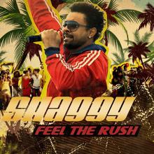 Shaggy - Feel The Rush