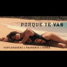Vinylshakerz x Pachanta feat. KINGA - Porque Te Vas