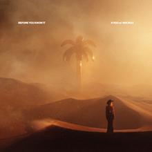 Kygo feat. Ava Max - Before You Know It