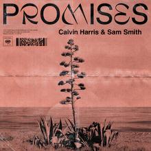 Calvin Harris feat. Sam Smith - Promises