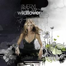 Sheryl Crow - Good Is Good