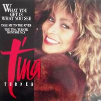 Tina Turner - What You Get Is What You See