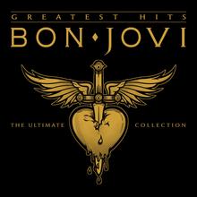 Bon Jovi - These Days