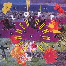 Loft - Summer Summer