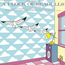 A Flock Of Seagulls - Wishing