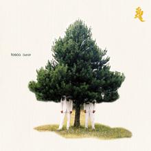 Tosca - Dave Dudley