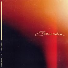 Shawn Mendes & Camila Cabello - Señorita